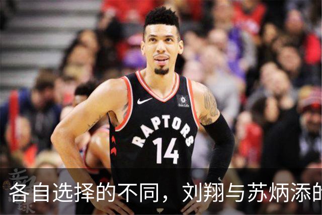 各自选择的不同，刘翔与苏炳添的退役人生大相径庭
